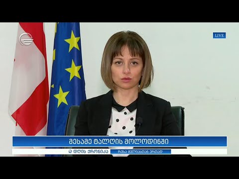 მესამე ტალღის მოლოდინში - ეკატერინე ტიკარაძე \'დღის ქრონიკაში\'